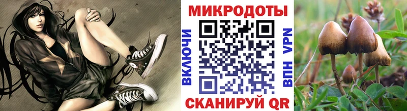 KRAKEN ONION  закладки  Шагонар  Галлюциногенные грибы MAGIC MUSHROOMS 
