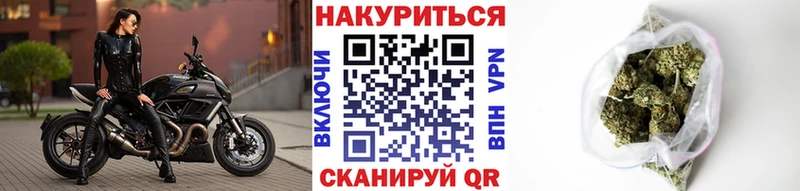 где купить наркоту  Шагонар  Шишки марихуана конопля 